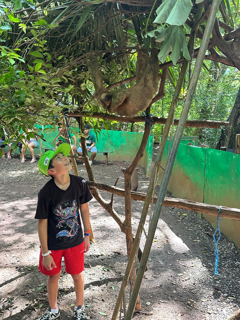 Glass Bottom Boat + Island Tour + Monkey & Sloth